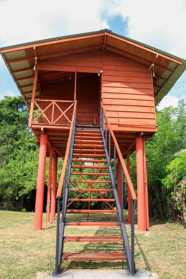 Hotel Sigiri Royal Point Tree House Sigirija Zewnętrze zdjęcie